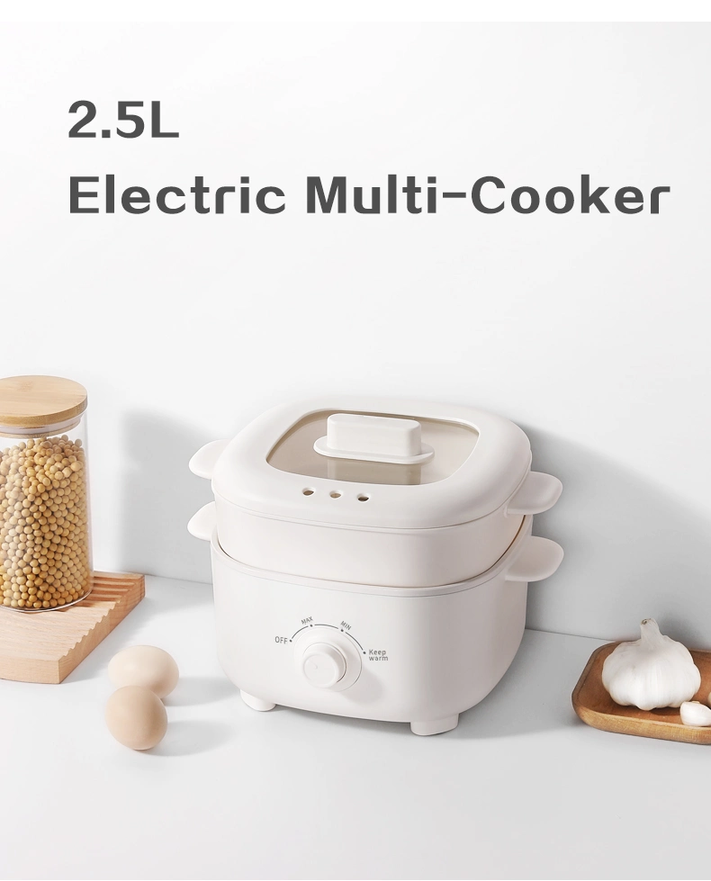 Mini Hot Pot Electric Cooking Electric Stock Pot with Steamer Multi Function Electric Cooker